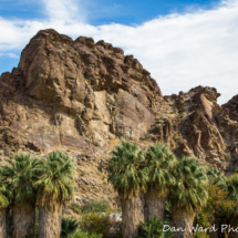 Andreas Canyon Palms &amp; Rocks-3