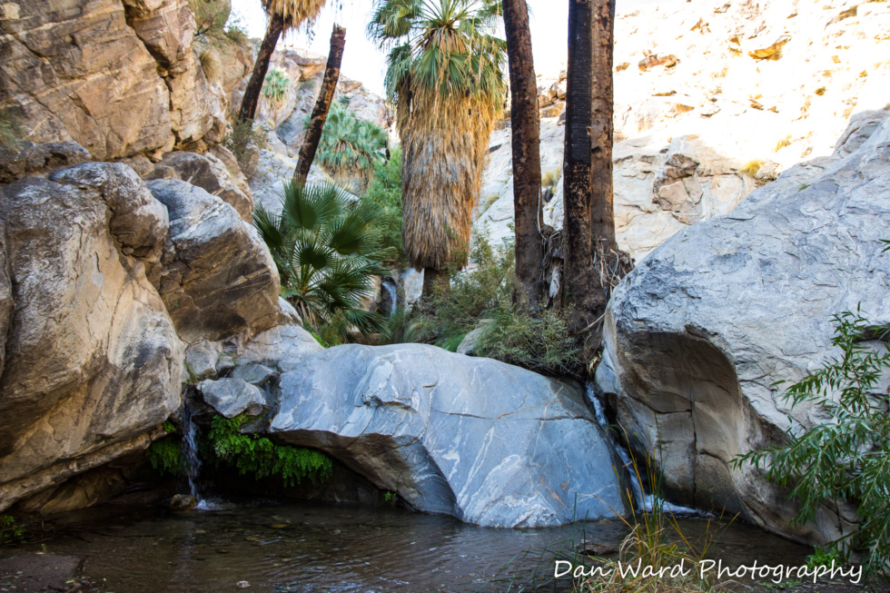 Seven Sisters Falls-Murray Canyon-2