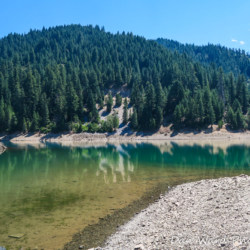 Lake McCloud 2017-2