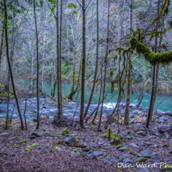 Heath Angelo Preserve- Mouth Of Elder Creek