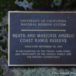 Heath Angelo Preserve-Plaque