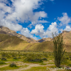 Anza-Borrego Desert State Park-9 (1 of 1)