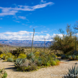 Anza Borrego Springs Desert Park-1 (1 of 1)