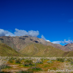 Anza Borrego Springs Desert Park-6 (1 of 1)