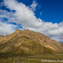 Anza Borrego Springs Desert Park-8 (1 of 1)