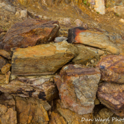 Rocks-Anza Borrego Springs Desert Park-2 (1 of 1)