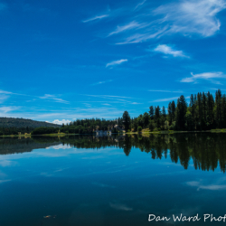 Pit River Arm-Lake Britton-June 2019-1 (1 of 1)