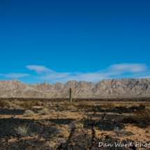 Lava Beds-Schuk Taok Museum-Pinacate Bioshpere Reserve-November 2019-2 (1 of 1)