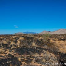Lava Beds-Schuk Taok Museum-Pinacate Bioshpere Reserve-November 2019-8 (1 of 1)