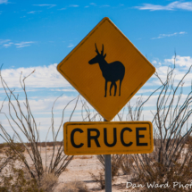 Pronghorn Crossing Sign-Pinacate Bioshpere Reserve-November 2019-1 (1 of 1)