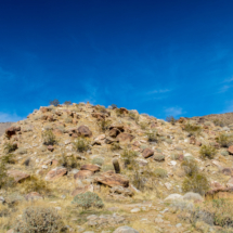 Cactus Landscape-Oswit Canyon-03