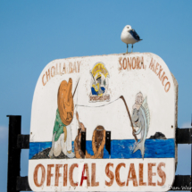 Cholla Bay Scales Sign-01