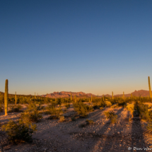 Sunset On The Desert Floor-02