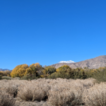 Mount San Gorgonio-02