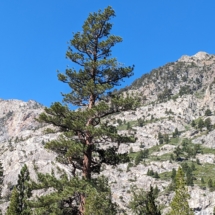 Silver Lake California-14