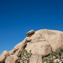 Joshua Tree Landscape-12-Cap Rock