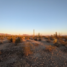 Organ Pipe Landscape-01