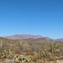 Organ Pipe Landscape-04