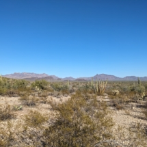 Organ Pipe Landscape-05