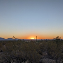 Organ Pipe Landscape-06