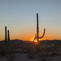 Organ Pipe Sunset-01