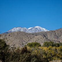 San Gorgonio Mountain-01